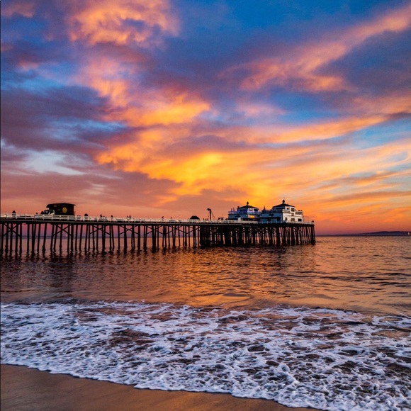 Meet your Posher, Ella - Picture 1 of 1